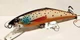 Robertson Tackle Dreamsicle Fishing Lures for Freshwater, Saltwater Fish Such as Trout, Salmon, Bass, Walleye, Pike Fishing Accessories, Lures, Crankbait, Fishing Hooks.