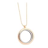 JUMPLAWN Collar Colgante de Medallón de Aleación Dorado, No Alérgico y Resistente al Desvanecimiento, Adecuado para Joyería de Mujer y Hombre Diseño para Fotos