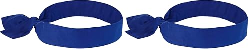Image of Ergodyne Chill Its 6700 Cooling Bandana, Evaporative Polymer Crystals for Cooling Relief, Tie for Adjustable Fit, Blue (Pack of 2)
