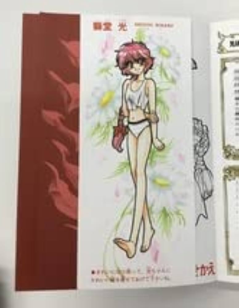 【初版あり】魔法騎士レイアース 全６巻 Amazon.co.jp: CLAMP プレミアムコレクション 魔法騎士