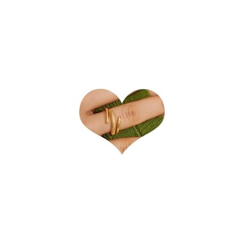 Kainier 14K Gold Chunky Rings for Women 14K Gold Plated Dainty Rings High Polish Statement Band Classic Double Ring Comfort Fit Size 5 to 10 (10, Wing rings) Cover
