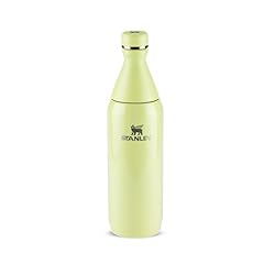 Stanley - Garrafa térmica Slim Bottle para água e bebidas frias, colarinho removível para adicionar gelo, à prova de vazamentos, aço inoxidável, 591 ml, Ash Gloss