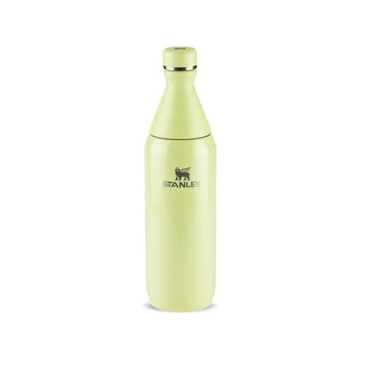 Stanley - Garrafa térmica Slim Bottle para água e bebidas frias, colarinho removível para adicionar gelo, à prova de vazamentos, aço inoxidável, 591 ml, Ash Gloss
