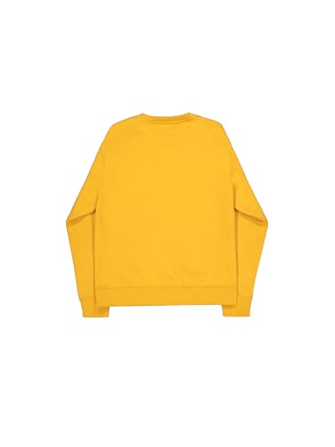 Alpha Industries Basic SL Pull-Over Homme, sweat à capuche noir en coton - 2