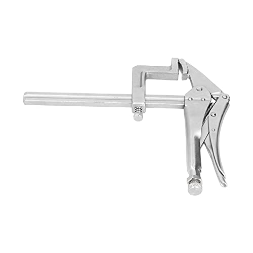 Baxnore SK C6 bLOvC[AX`[؍HNvAhKnڃNvAؐNvAnڃLrlbgp@\NvoCX