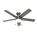 Hunter Fan 52 Inch Casual Matte Silver Finish Outdoor Ceiling Fan with LED Light Kit and Pull Chain (Renewed)