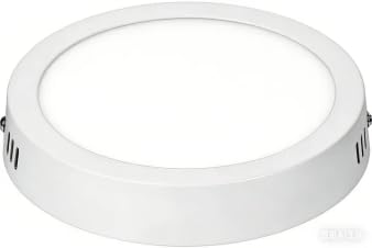 YICALE Lámpara LED de Techo Para Interiores, Lámpara Plana de Tres Colores de 15W Para Dormitorio, Lámpara de Techo Moderna con Función de Memoria, Ideal Para Cocinas, Salones y Pasillos