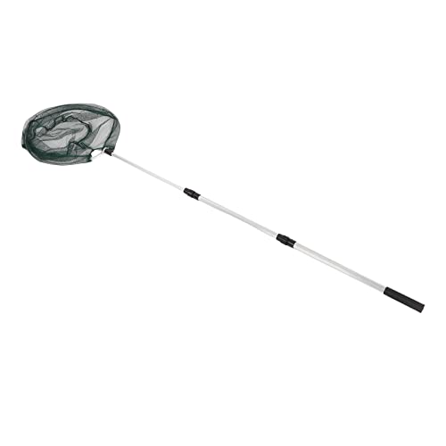 Filet d'atterrissage pour poisson télescopique Annadue en alliage d'aluminium pour pêche