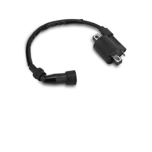 Bobina de encendido para motocicleta RS de 100 cc: elimina fallos de arranque en 2T/4T