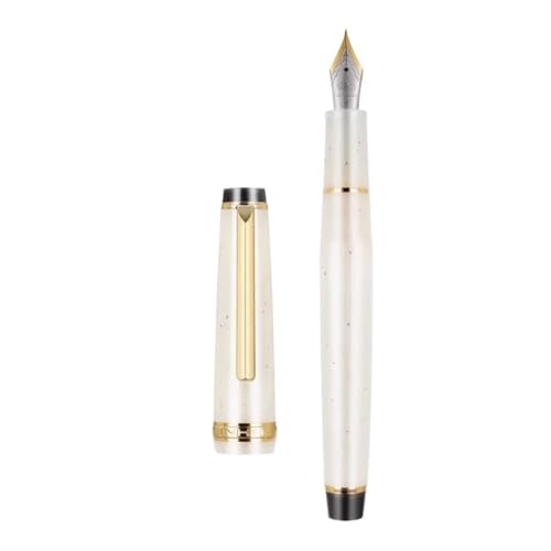 Stylo-plume avec pointe F Gold Clip Series pour écriture scolaire en résine