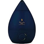 アピックスの加湿器 AHD-021-NV