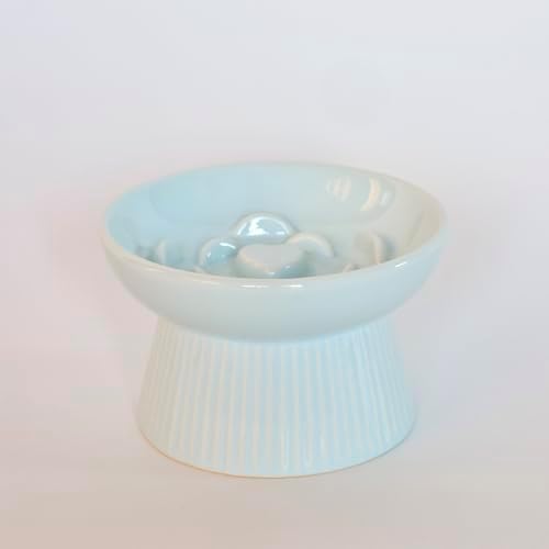 Raised Cat Slow Feeder, Elevated Cat Bowls for Slow Eating