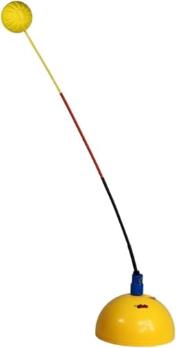 RiazdiwejXg[jO}VAZtT[rXejXg[i[́AejXXCOg[jOAqbs[ejXg[jOAXCO{[tA|[^uAj[NȁAqƑl̂߂̃ejXK@AƉOł̎gpɓKĂASҁAX|[cp