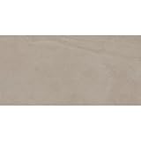 Daltile Wanderwise 12 x 24 Glazed Porcelain Floor Tile (9 PC Per Carton) (17.60 SQFT Per Carton)