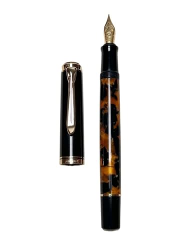 Stylo plume acrylique lisse à piston n°5 plume Schmidt F design inspiré