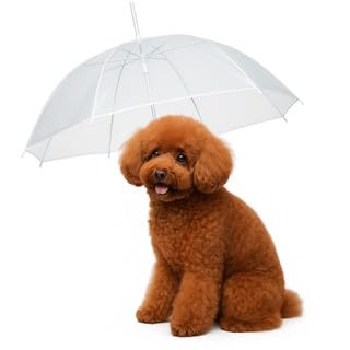 Guarda-Chuva Transparente para Pets com Guia – Proteção e Conforto na Chuva