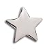 Silver Star Lapel Pins - Set of 10 Office & Classroom Recognition Pins