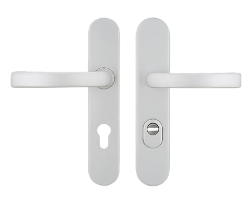Bricard 9890171 Ensemble de poignées blindées Eline sur plaque en aluminium argent sablé pour porte d'entrée