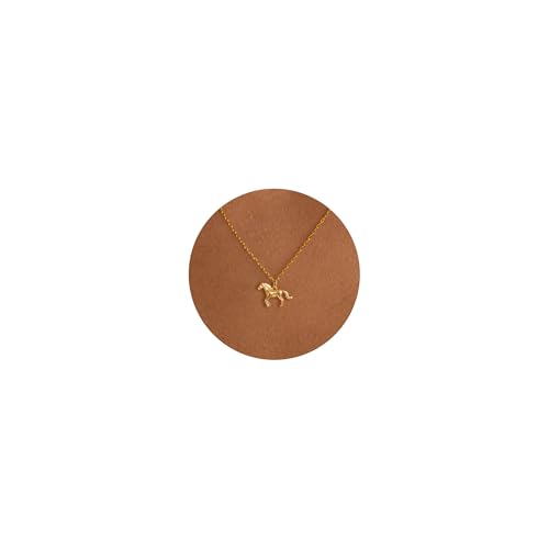 Collier colibri en or pour femme, le cadeau délicat avec pendentif porte-bonheur