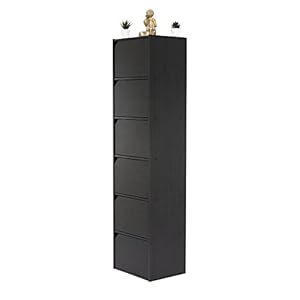 Iris Ohyama, Bibliothèque de rangement, Meuble avec 6 portes et 6 étagères/Montage facile, Design, Modulable, Bureau, Chambre, Salon – Module Shelf MDB-6D- Chêne Noir