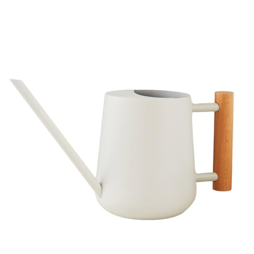 Regadera de acero inoxidable para interiores, regadera pequeña para plantas de interior, 900 ml a prueba de fugas, regadera de interior pequeña a prueba de fugas, regadera de boquilla larga, regadera