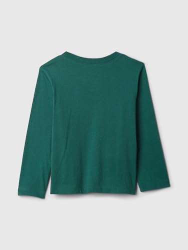 Image of Gap Baby-Boys Long Sleeve Graphic T-Shirt