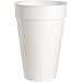 Genuine Joe Hot/Cold 16oz Foam Cups (Pack of 500)