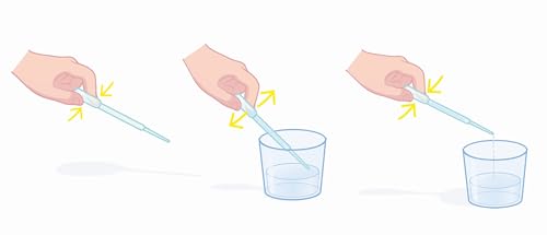 Galileo Lab Mein erstes Botanik-Set - Experimentierkasten mit spannenden Experimenten rund um den Garten Spielzeug für Kinder ab 5 Jahren, 59399 von Clementoni