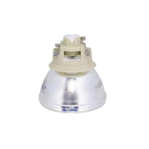Lampe projecteur BL-FP240E compatible Optoma UHD400X HD300X SP.78V01GC01