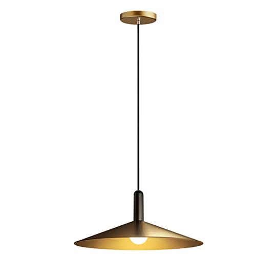 Lustre moderne en laiton suspension de 30cm avec corps en cuivre