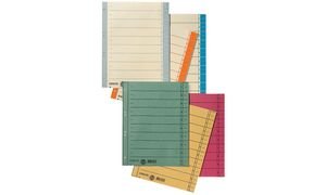 Preisvergleich Produktbild Esselte Karton-Trennblätter, DIN A4 Überbreite, chamois