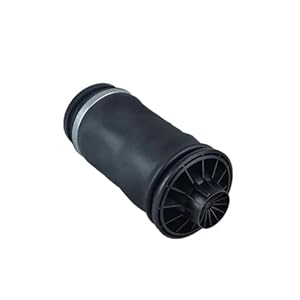 Xfyesl Luftfeder für W220 ML500 GL450