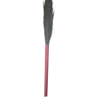 Domestic Floor Grass Broom Pack of 25 -By FRESHINE HYGIENE PRODUCTS