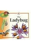 The Ladybug (Life Cycles)