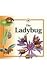 The Ladybug (Life Cycles)