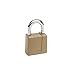 CCL Security Padlock, #66 KA CAT 60