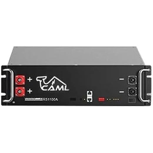 LOOM SOLAR 100Ah LiFePO4 Battery 5kWh