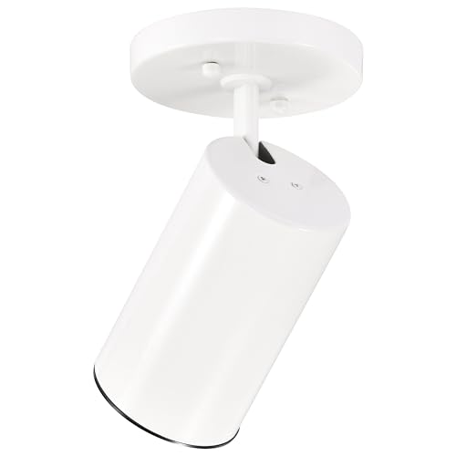 Nuvo SF76/412 One Light Close-To-Ceiling Flush Mount thumb #4