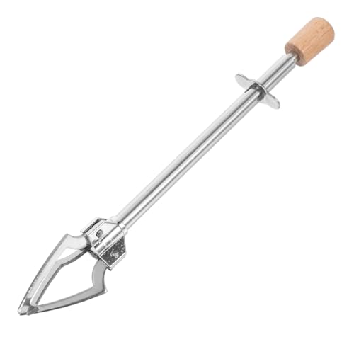 HOLIDYOYO Pince À Glace Triangulaire En Acier Inoxydable 6.69 Pouces Pince Alimentaire Multifonction Antidérapante Pour Cuisine Buffet Réception Familiale