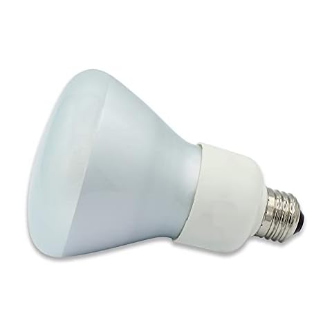 Technical Precision E26 15w 120v Compact Fluorescent Light Bulb Cover