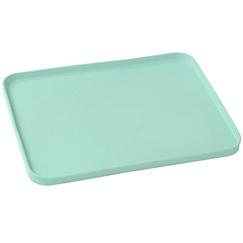 Table Placemat For Kids Baby Toddlers Non-Slip Silicone Tablemats Water Proof Anti Skid Stain Resistant Reusable Dishwasher Safe Table Mats (Mint Green) #TOP6