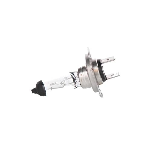 Bosch 1987302777 Lampada di Autoveicolo