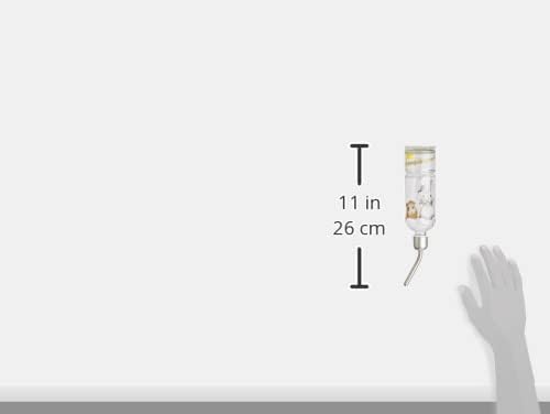 Water bottle next to a hand for size comparison