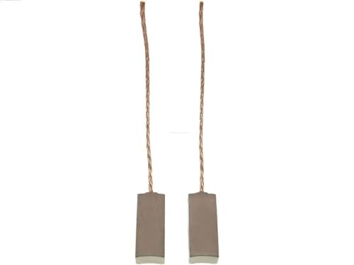 2X As-Pl Px60(Bulk) Spazzola In Carbone Alternatore