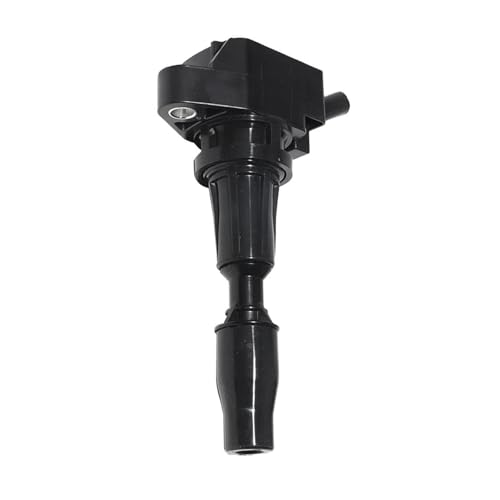 Bobina de encendido para Santa Fe y Sonata | Accesorio de coche 273002GGA0