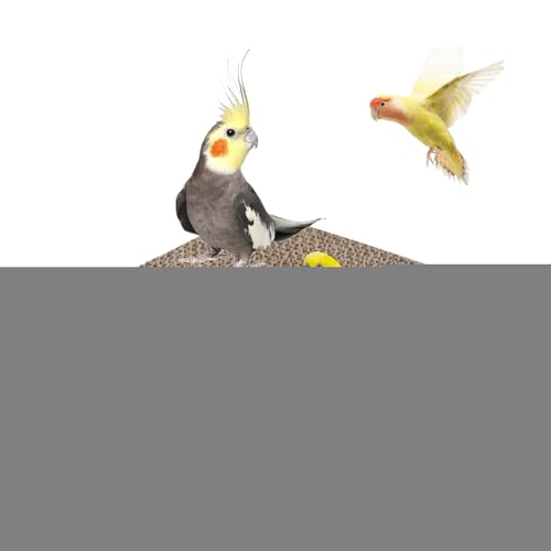 p~܂ | ނ, IJCR CR ZLZCCR tB` V g[jO    ~܂