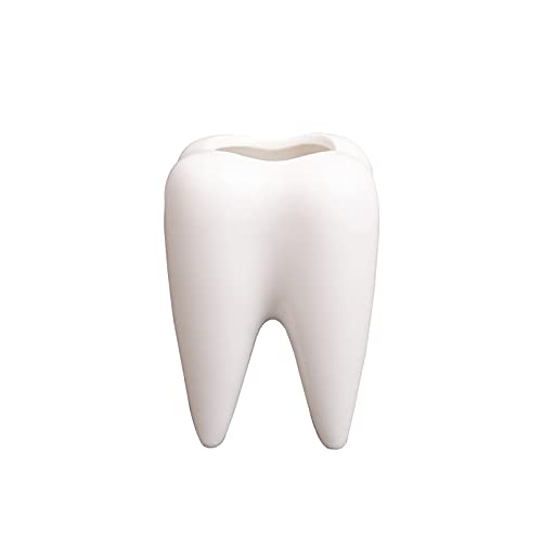 Succulent Plant Pots, Cute Tooth Shape White Ceramic Planter Cactus Plant Pot Flower Vase, Creative Pen Pencil Holder for Office Home Desk Deco (Plants Not Included)