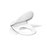 Kohler PureWash E580
