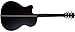 Washburn Electro Acoustic 6 String Guitar, Right, Striped Ebony (DFEACE)