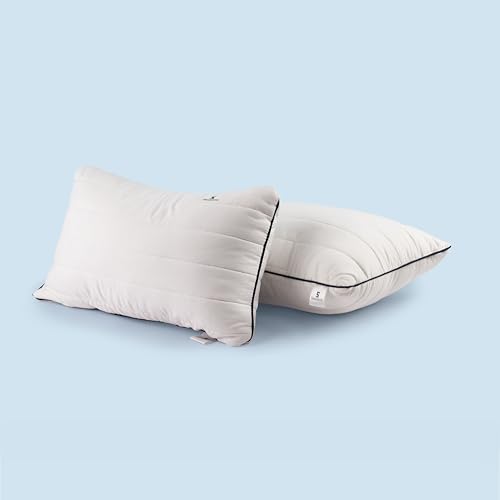 Image of SleepStore Granules Soft Cushion for Back & Spine Support, Pack of 2, 12x18 Inch | Multipurpose Adjustable Cushion for Office, Home & Travel | Shredluxe Fill - Blend of Memory Foam & Premium Fiber